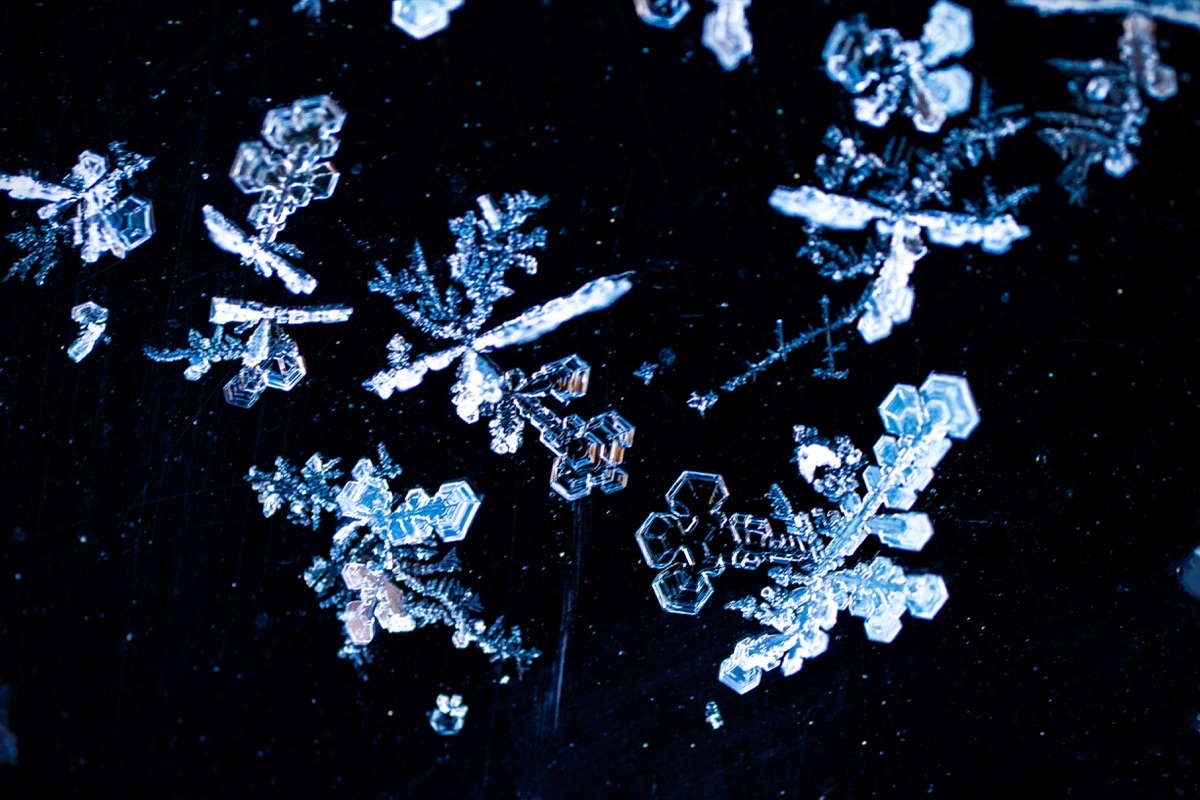 黒い背景に浮かぶ青白い雪の結晶