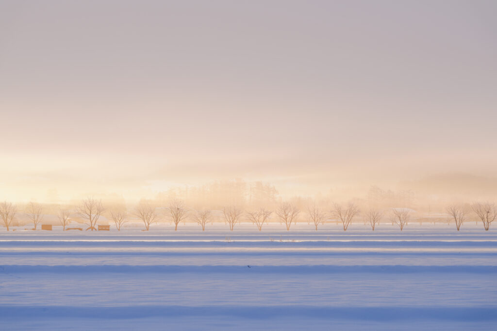 知られざる由仁