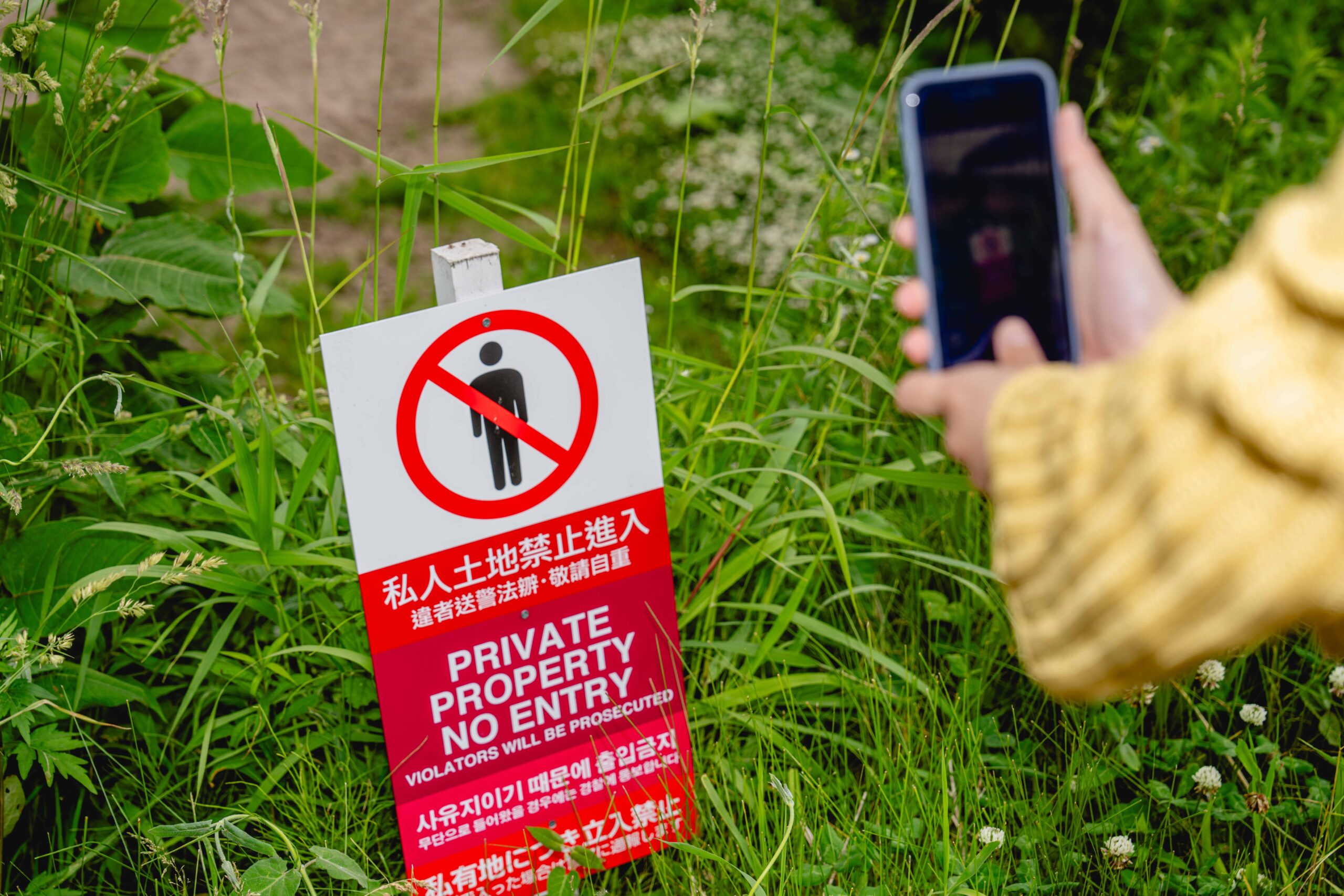 【美瑛町】北海道大学大学院フィールドワーク撮影